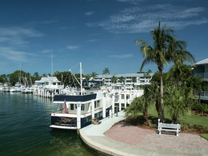 Click to See Next Image